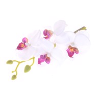 hårclips, hvid orkideflor med lilla midte 